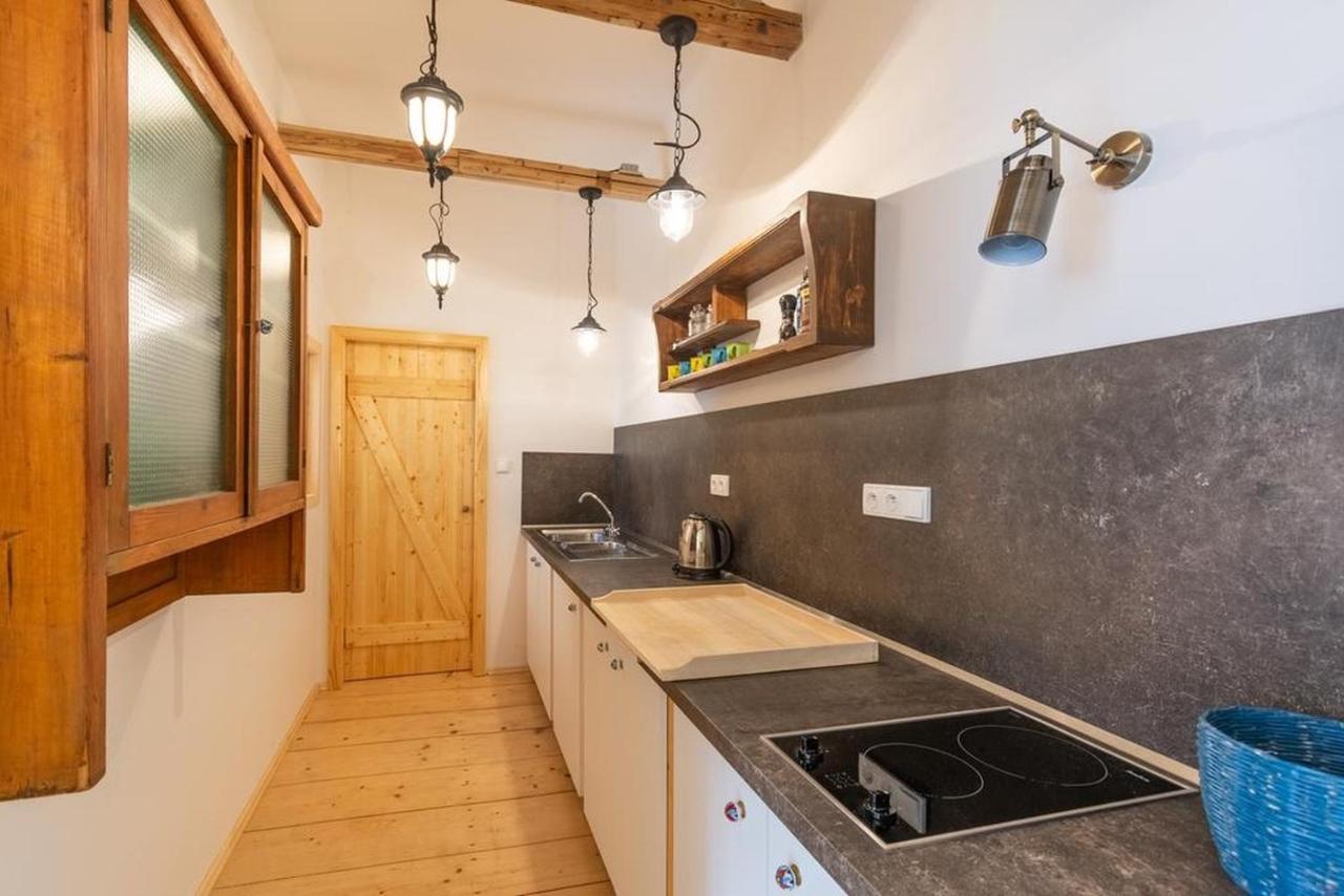 Apartment Sirius G In Center Of Cb Чешка Будьовица Екстериор снимка
